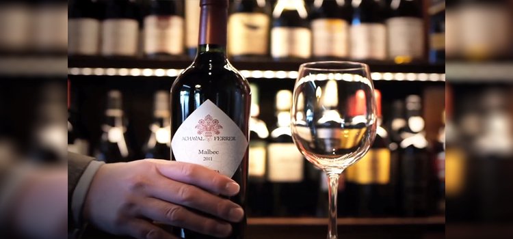 Bottle of Malbec Wine and Glass