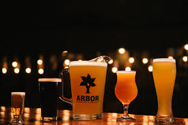 Arbor Brewing Company India